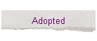Adopted